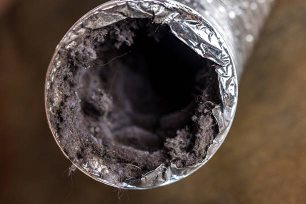 Best Local Air Duct Cleaning Services  in Forney, TX